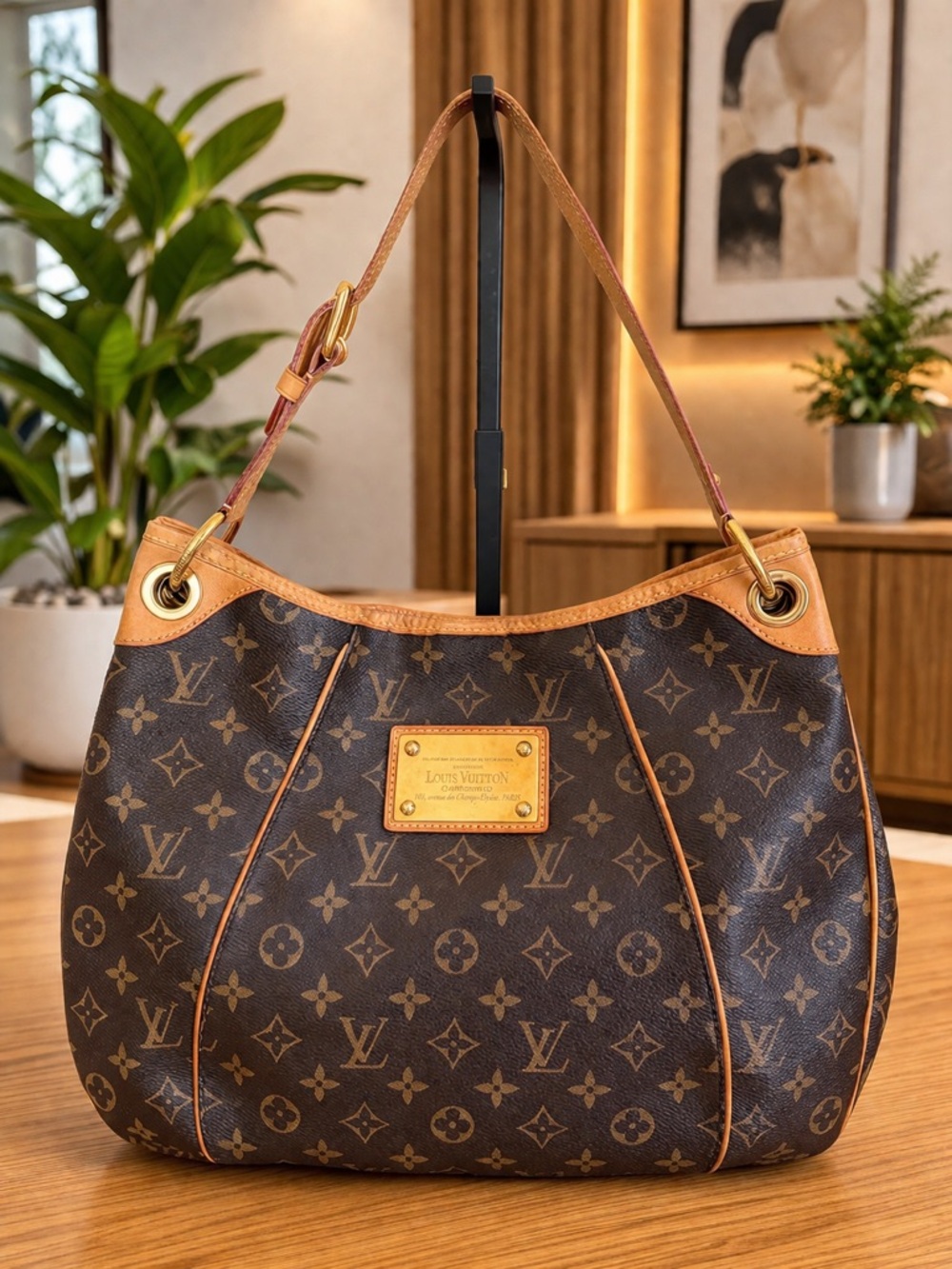 Louis Vuitton Monogram PM Galleria